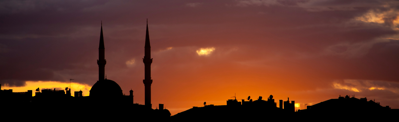 Middle Eastern Program