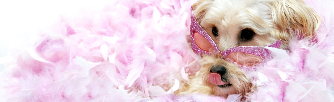 The Networking Diva